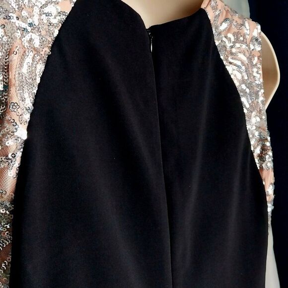 NWT R&M RICHARDS Embroidered Sequin Dress Size 6 - Picture 4 of 12